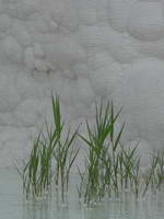 Türkei;Pamukkale